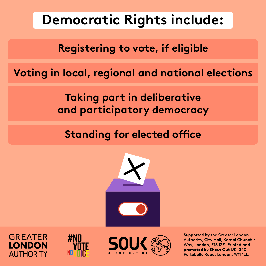 Civic and democratic rights-3 - Instagram square resource 