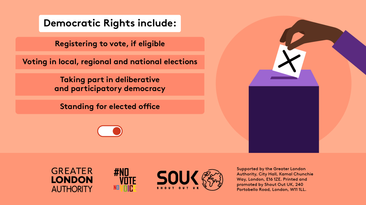 Civic and democratic rights-3 - X (Twitter) resource