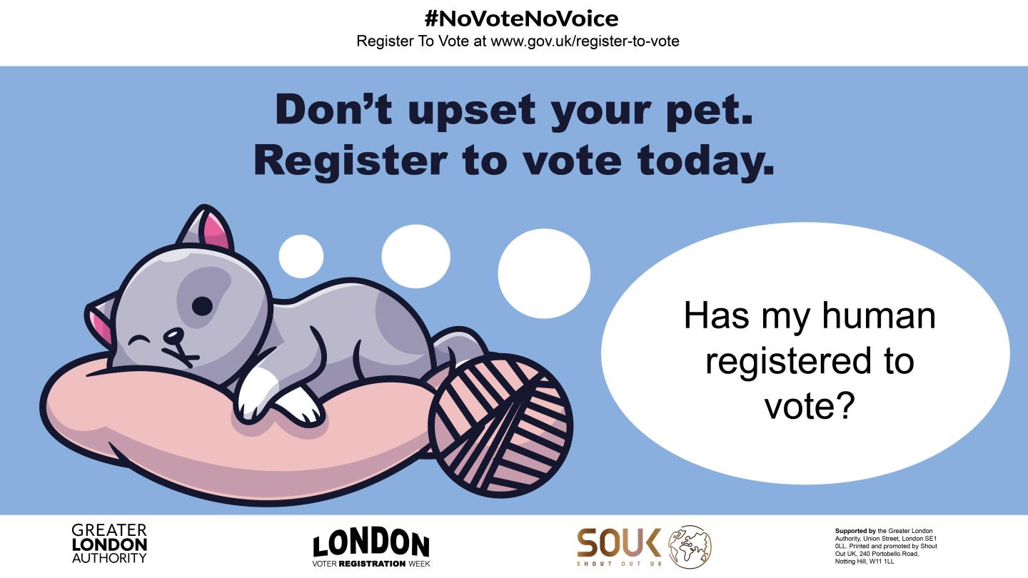An illustrated gray cat lies on a pink cushion with a ball of yarn nearby. A speech bubble above the cat reads “Has my human registered to vote?” The heading says “Don’t upset your pet. Register to vote today,” with #NoVoteNoVoice and the gov.uk/register-to-vote link at the top.